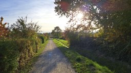 Herbstlich im Wiesengrund &raquo; Herbstlich im Wiesengrund